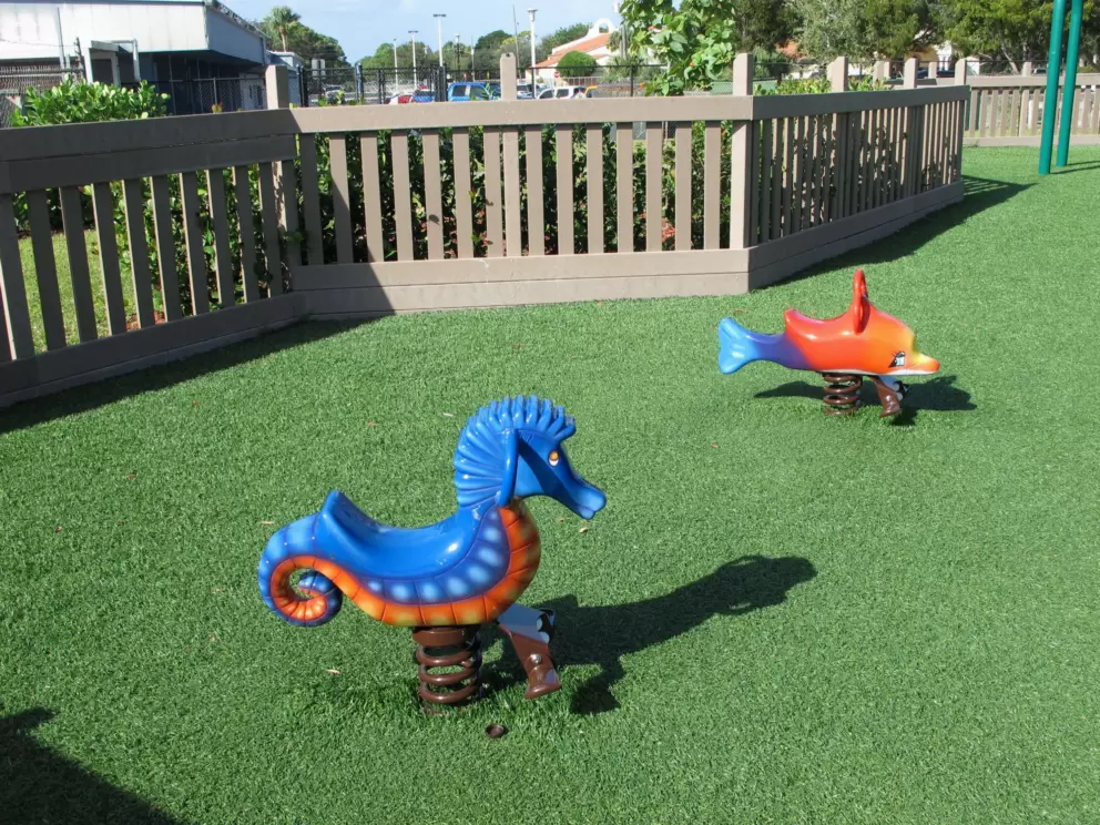 Dolphin and seahorse bouncies.