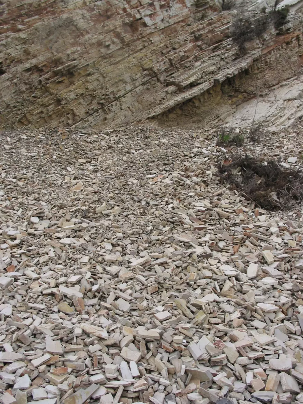 The cool rectangular shale bits that chip off the cliffs at Gaviota Beach.