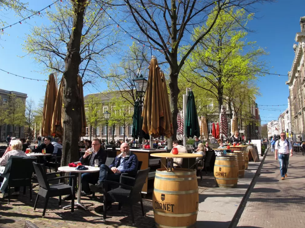 Trees with new springtime leaves in Het Plein.