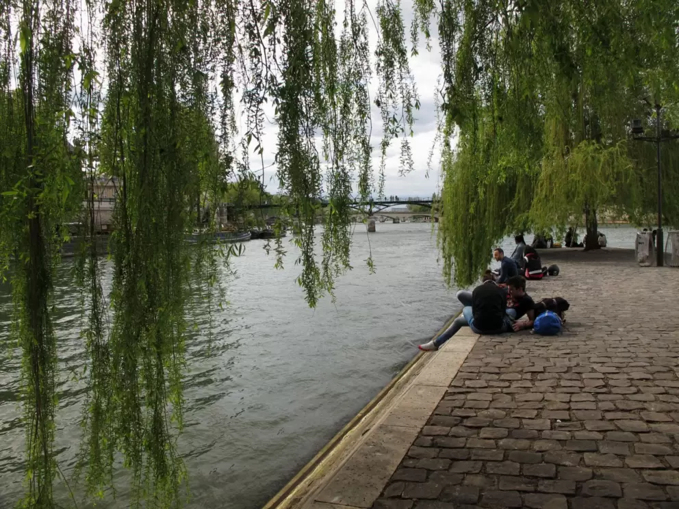 Sitting below the willow trees beside the Seine. Nothing is better on earth than this!