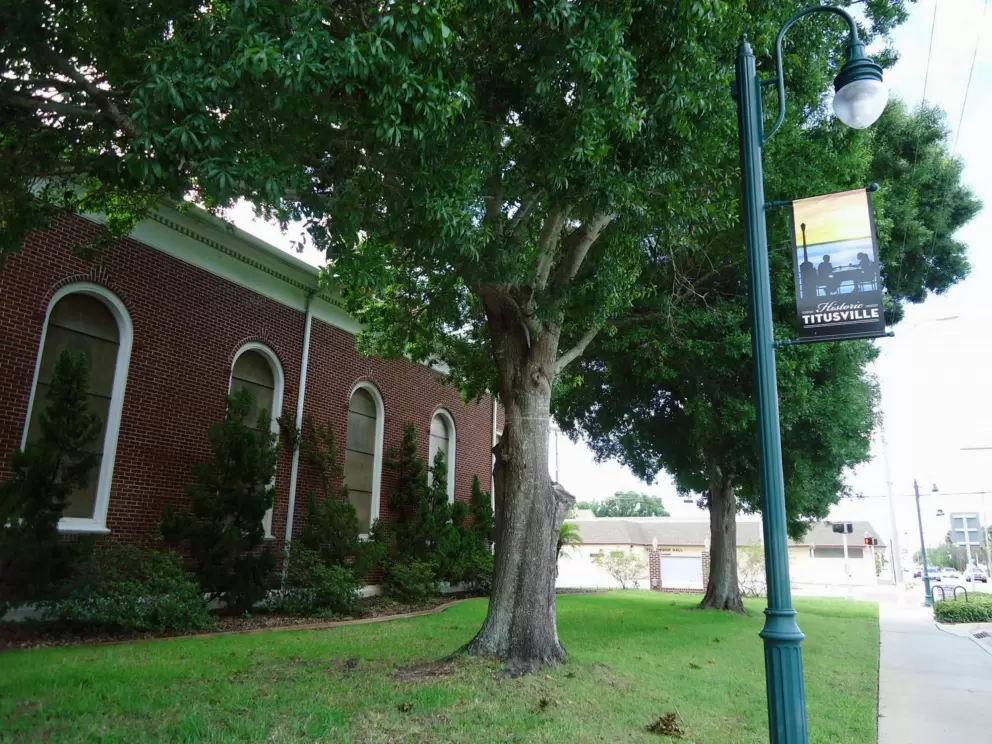 Pretty brick building, and tree. There are not many trees at all in Titusville.