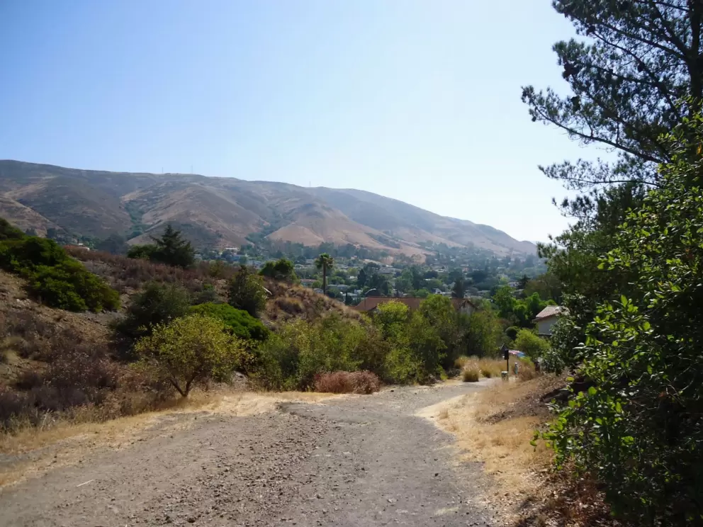 Walking down the path from the top of the hill.