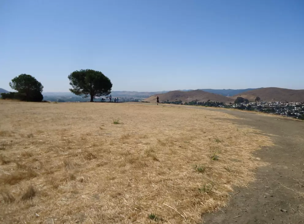 The dry, flat grassy area at the top, in August.