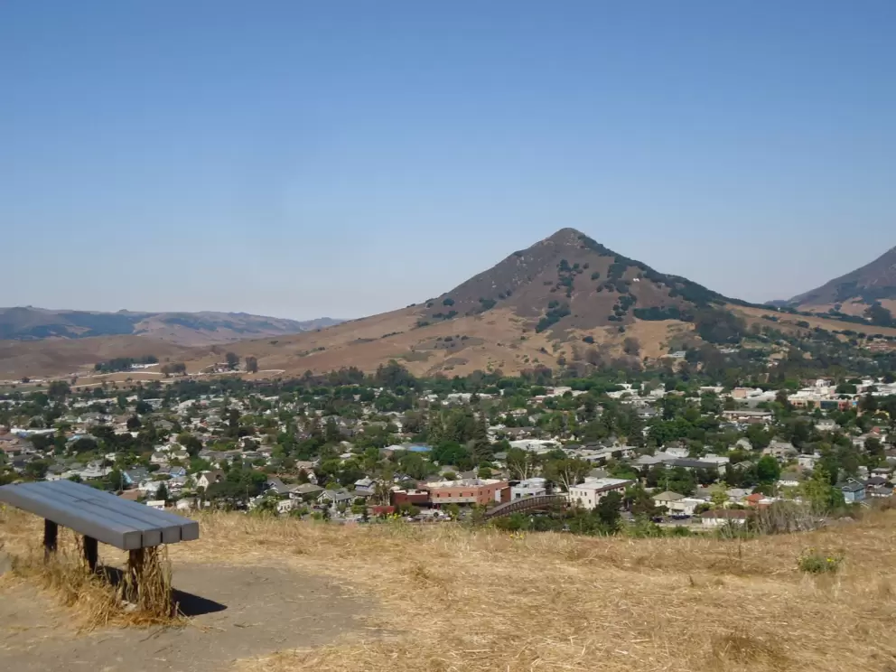 Bench with a view.