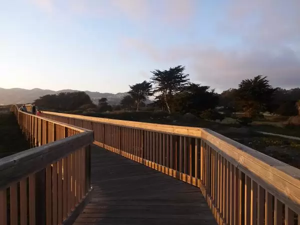 The wooden boardwalk over the dunes.