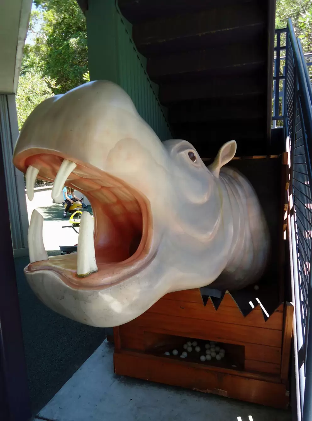 Hippo at the bottom of the stairs in the outdoor area.