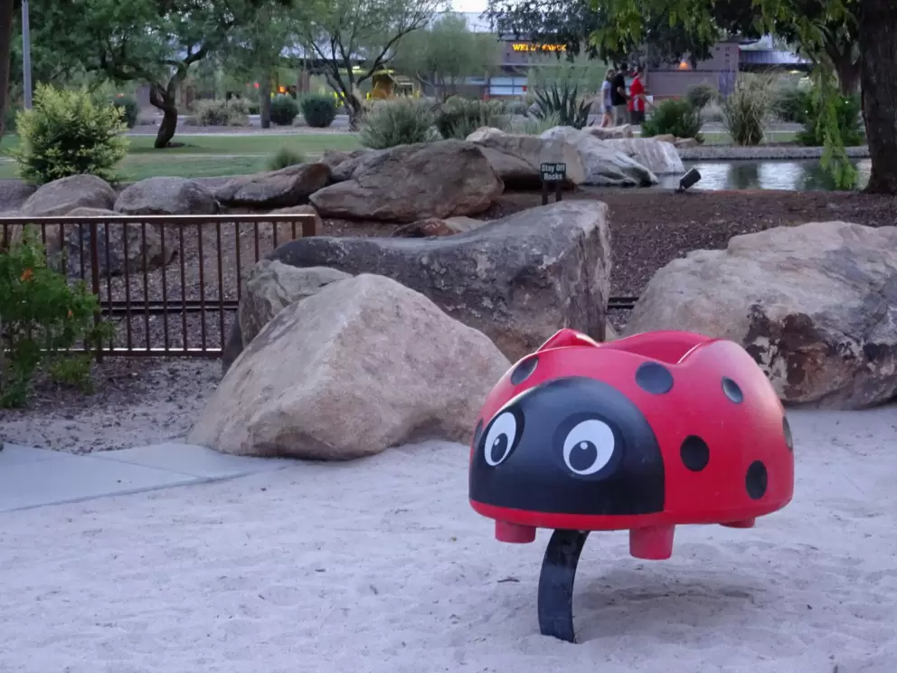 Ladybug bouncy.