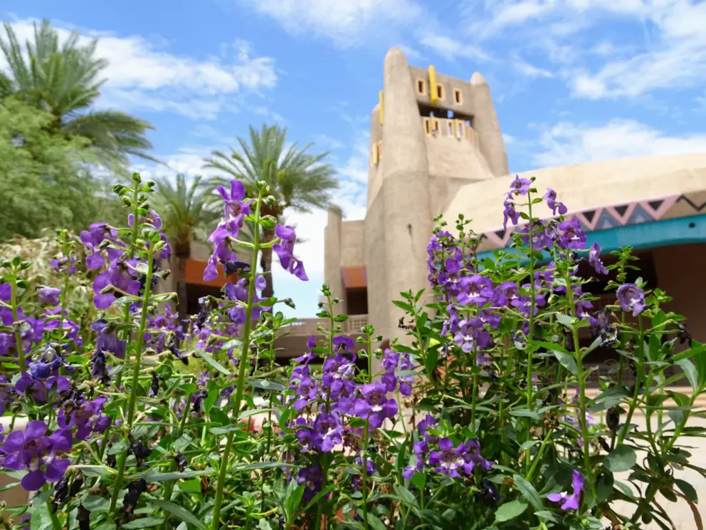 Flowers and tower at El Pedregal Marketplace.