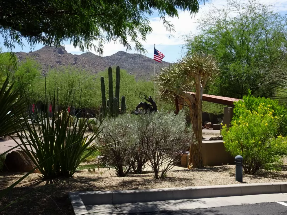 The mountains in the distance.