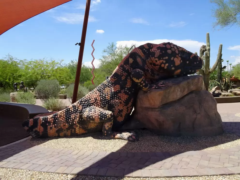 Gila monster slide.