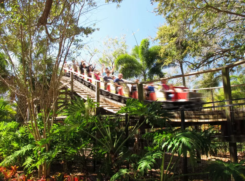 Coastersaurus rollercoaster!