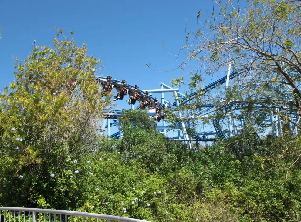 The Flying School rollercoaster.
