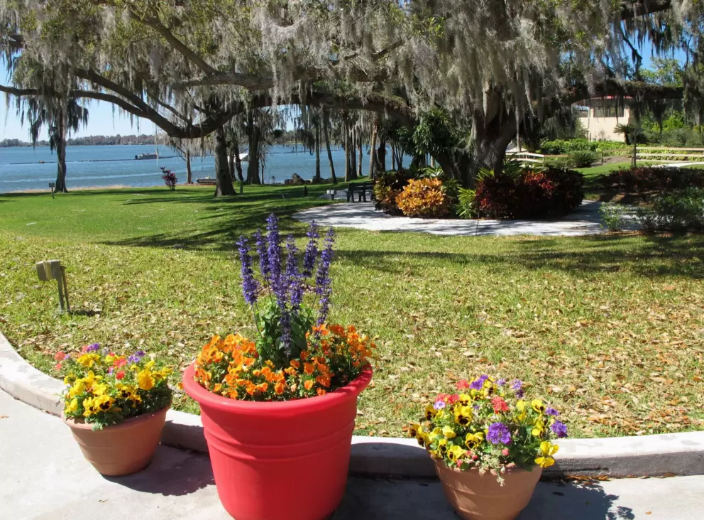 Flowerpots and lake views.