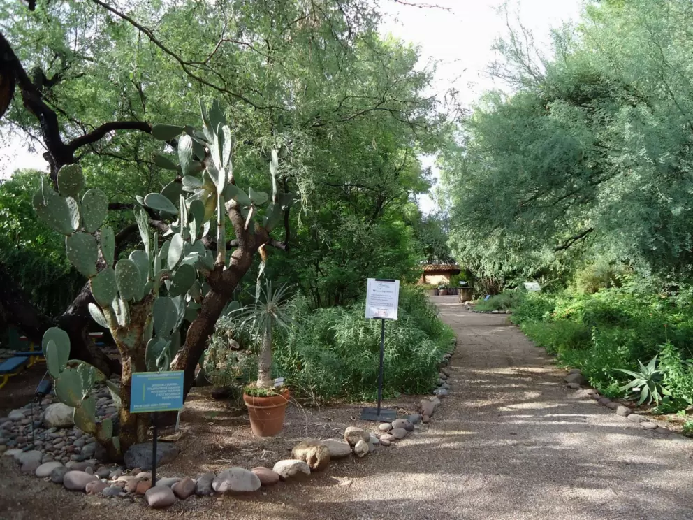 Pleasant walkway.