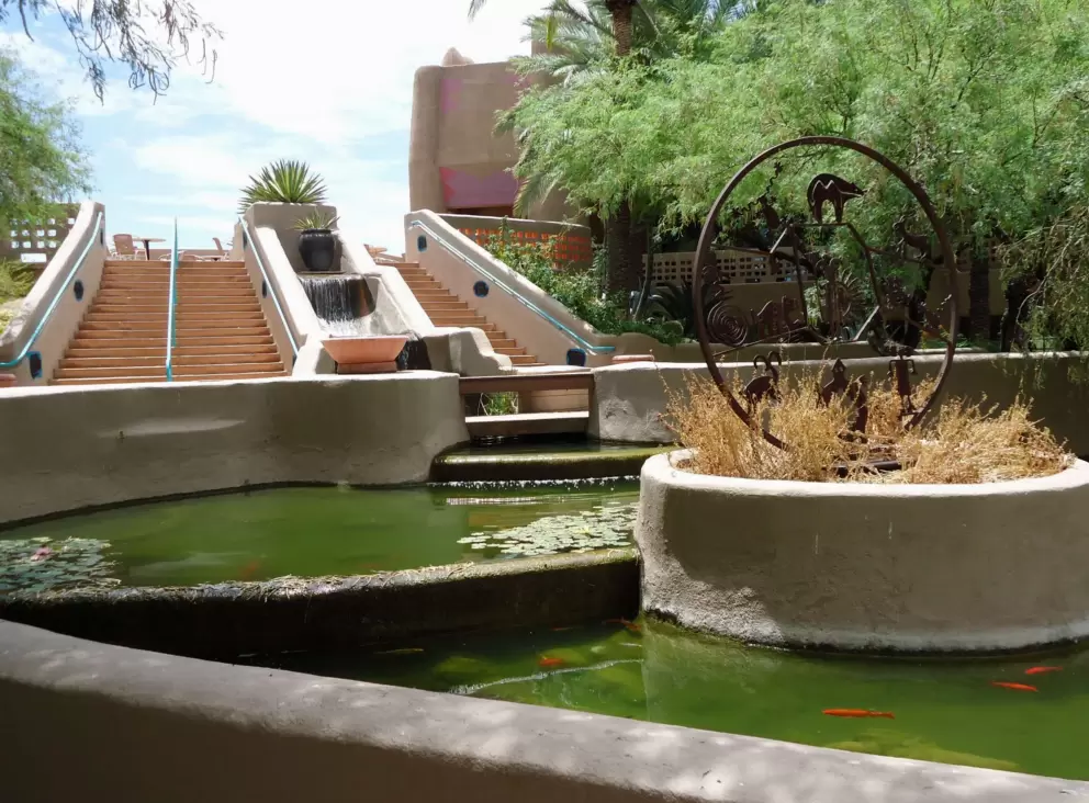 The koi pond in the downstairs area.