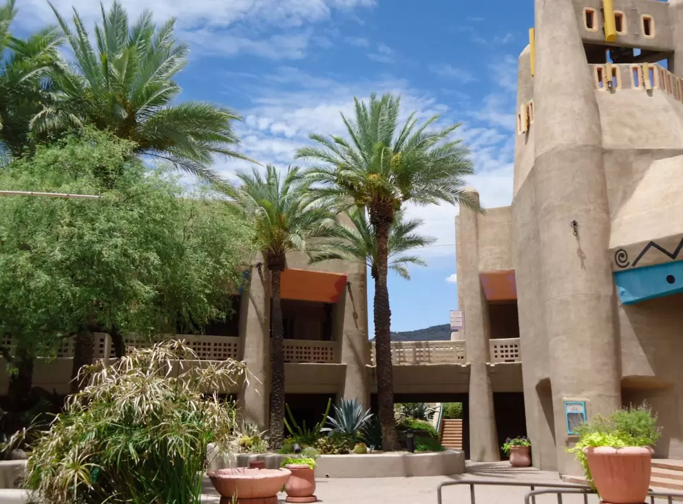 Palm trees and blue sky.