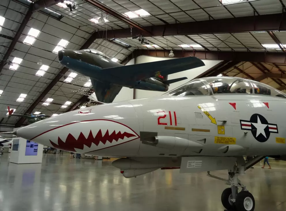 Shark airplane!