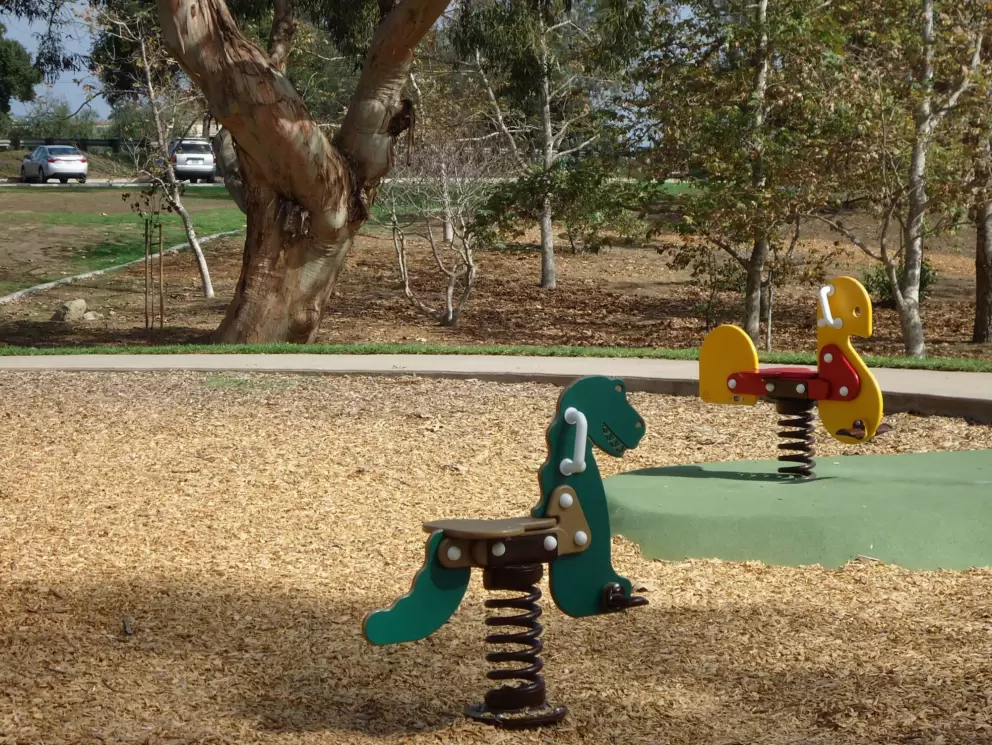 Dinosaur bouncy.