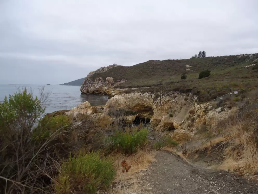 Pathway with views!