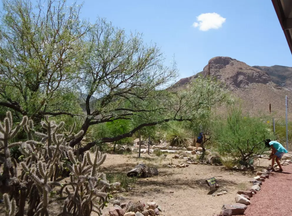 A child enjoy the little path to the museum.