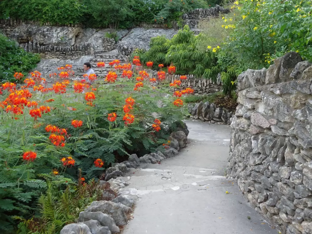 Orange flowers line the walkway.
