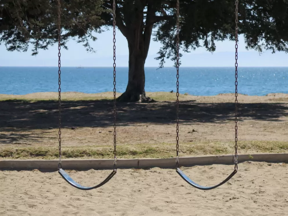 Swings with a view!