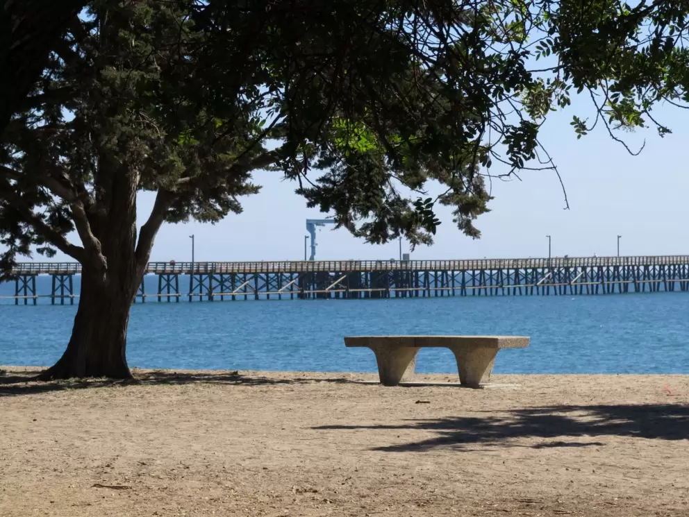 Bench, blue water, pier. Too bad the grass is gone.