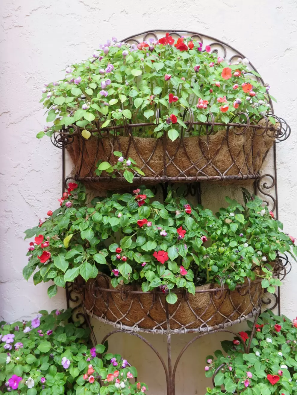 Four planters of flowers!