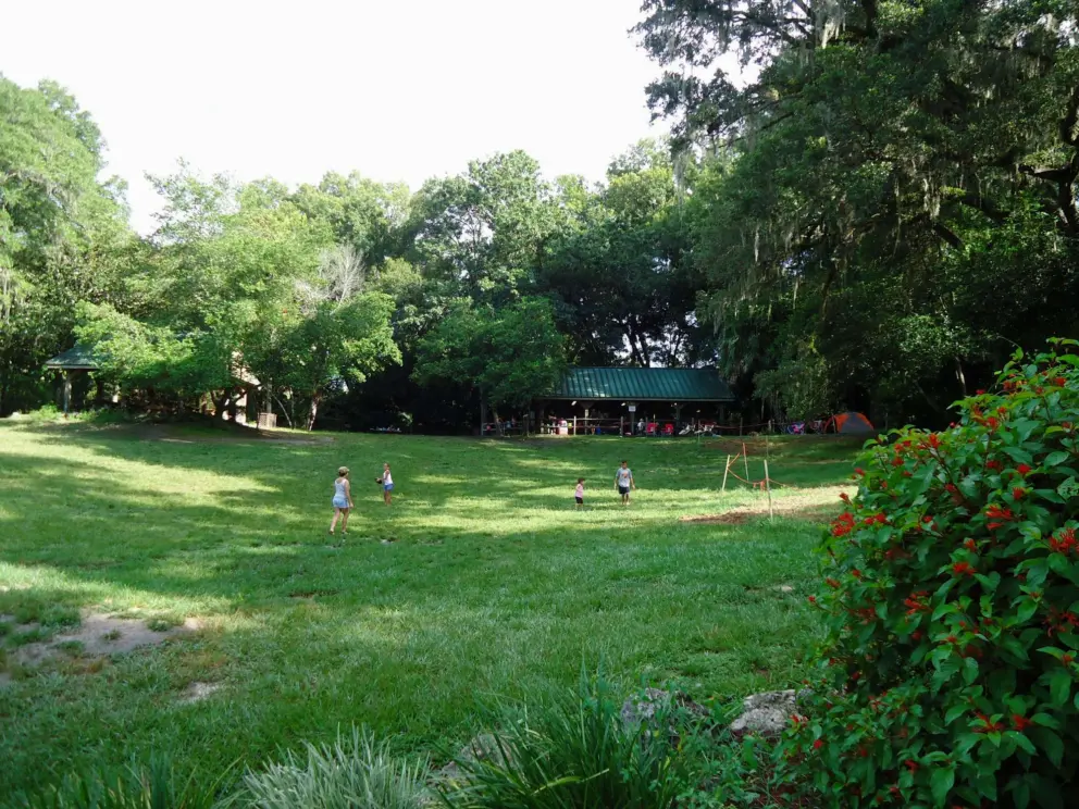 Kids playing on the grass.
