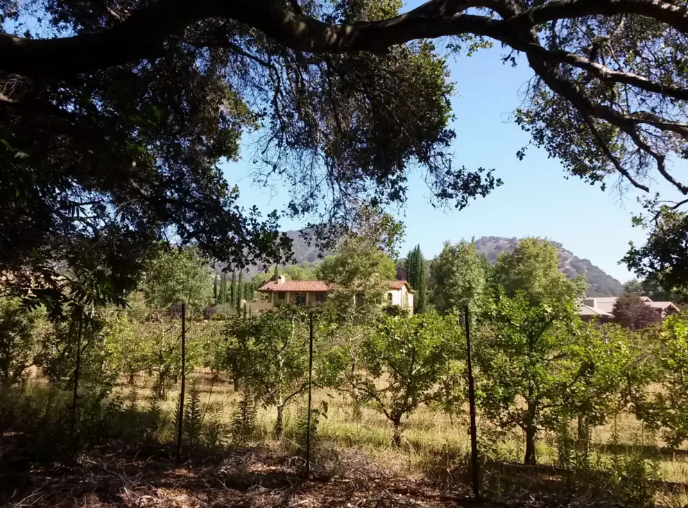 You can see apple orchards and mountains from the trail. 