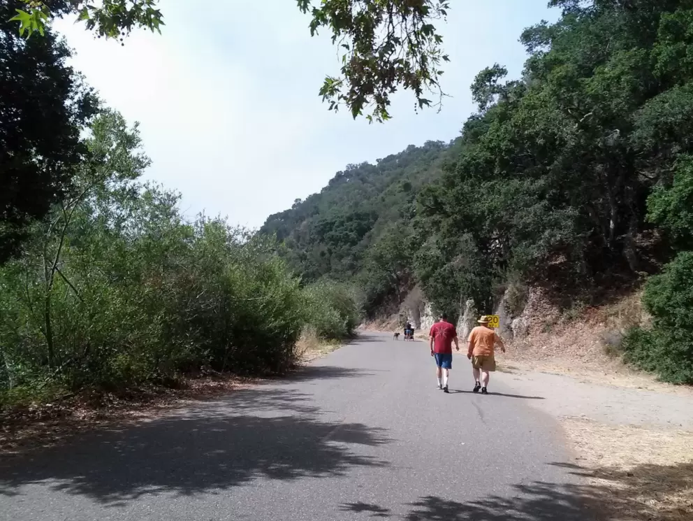 The car-free trail ends and you must continue on this wide road, Blue Heron Dr, to get to the ocean. 