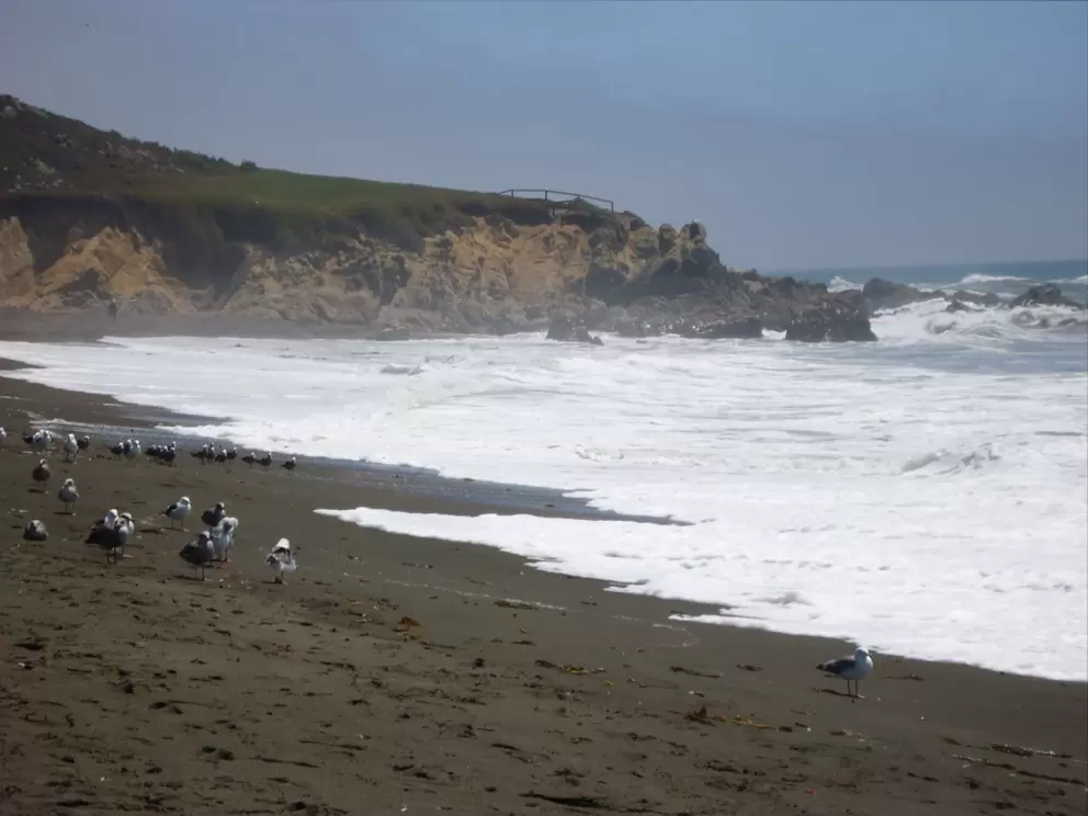 Green headland and waves crashing on the rocks.