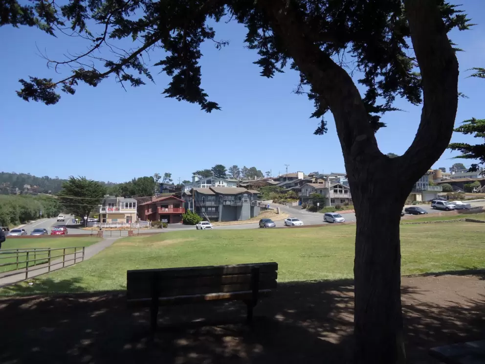 Views of the cute neighborhood and large lawn at Shamel Park.