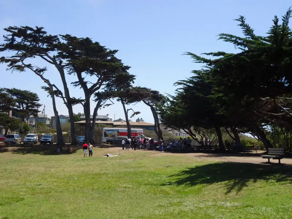 Large lawn!