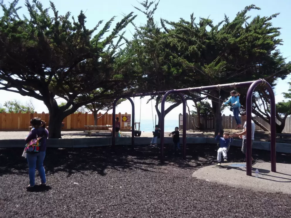 Swings!