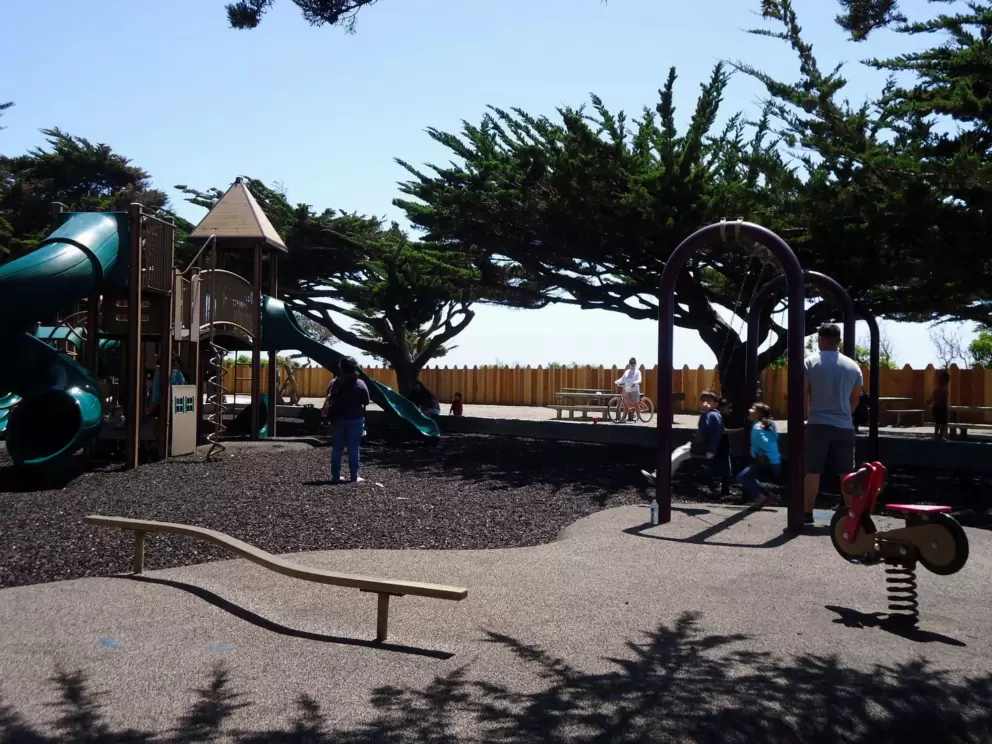Balance bar, bouncy, and swings.