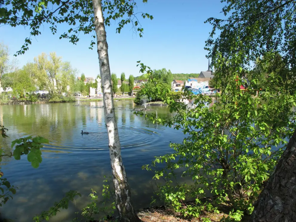 The lake and trees.