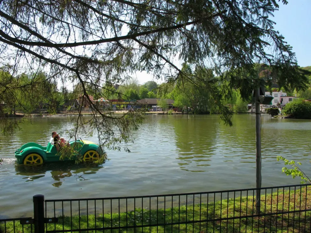Pedal boat on the lake.