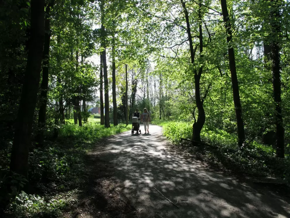 Onderste Caumer Forest, Heerlen