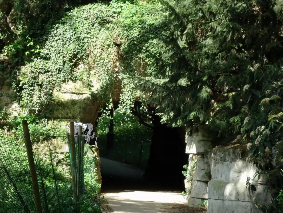 Leafy tunnel.