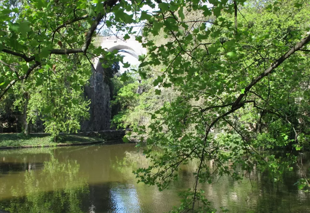 Leafy view toward the lake.