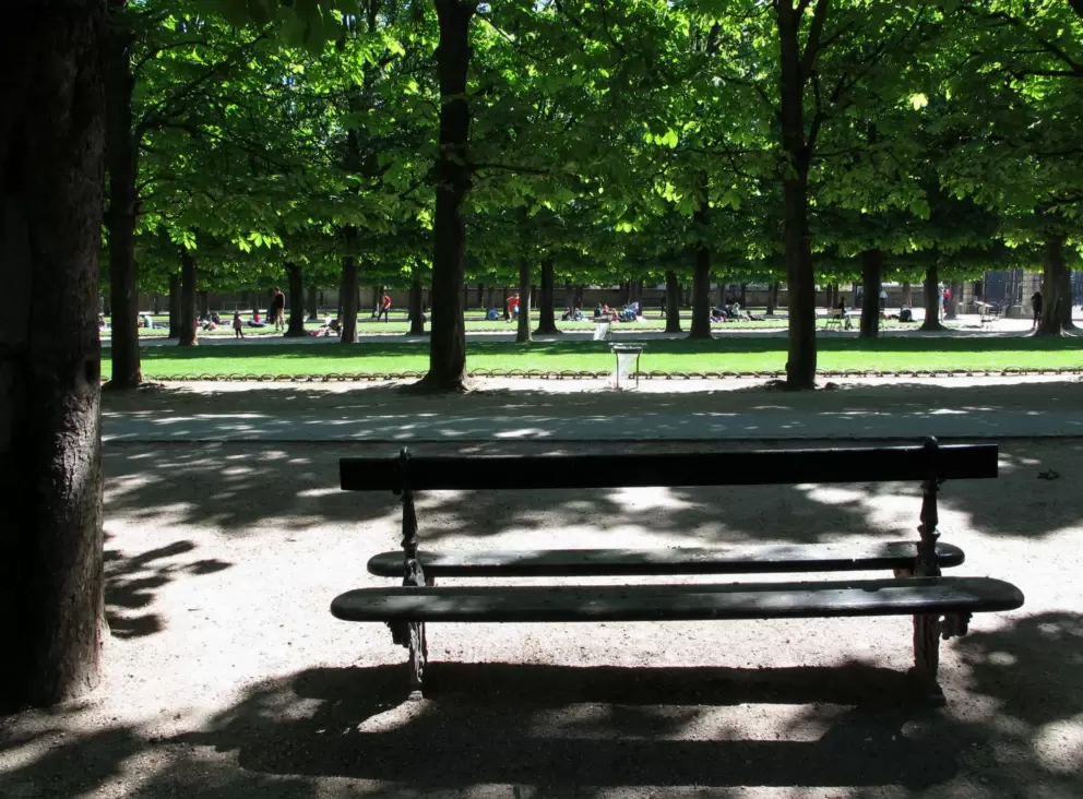 Rows of chestnut trees, or allees.