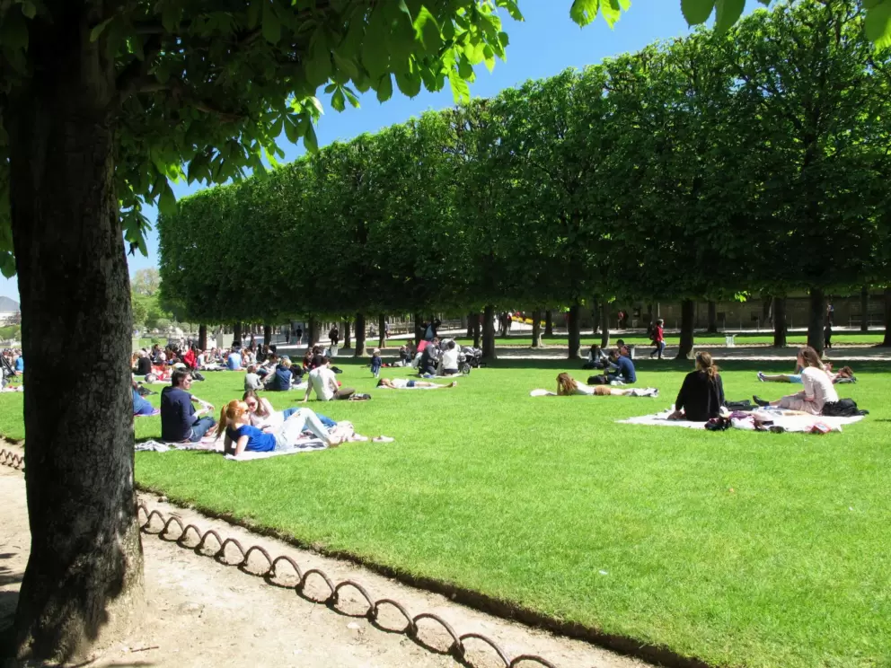 Picnic on the lawn between the allees.