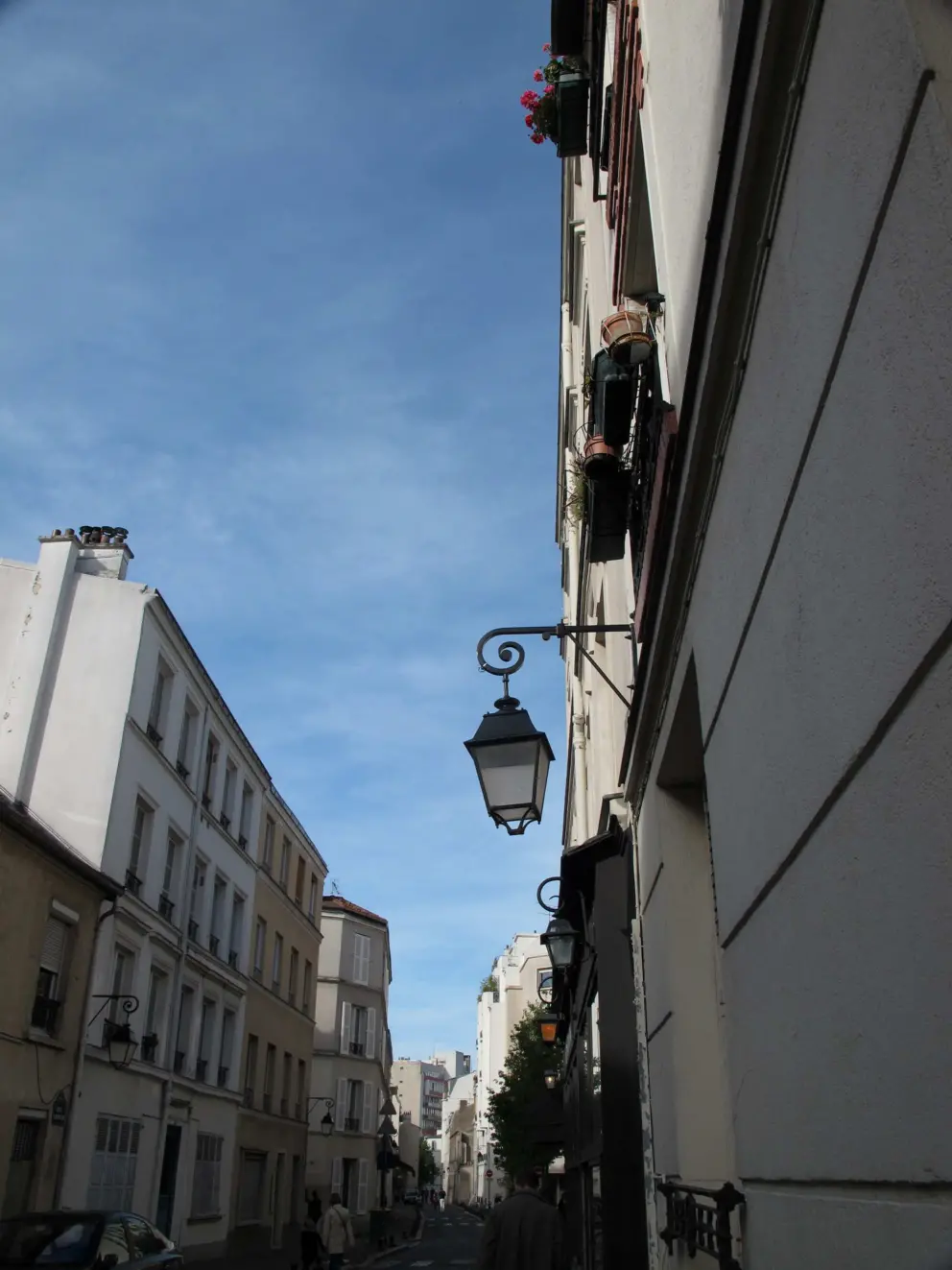 Delightful lamppost.