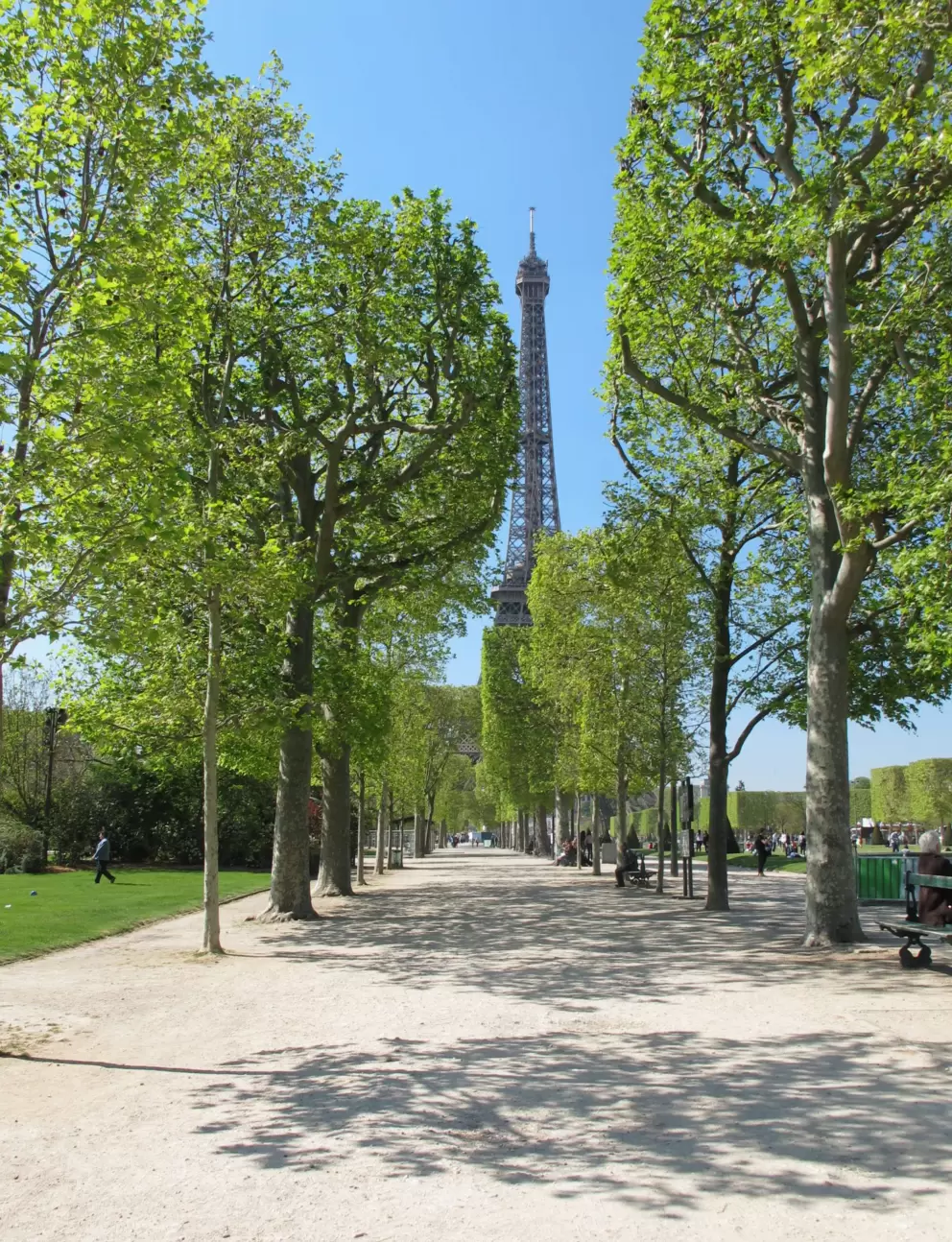 Shady walkways in the park.