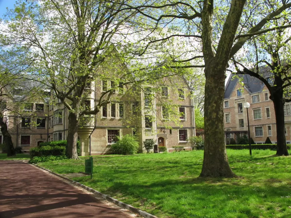 Lawns where students picnic.