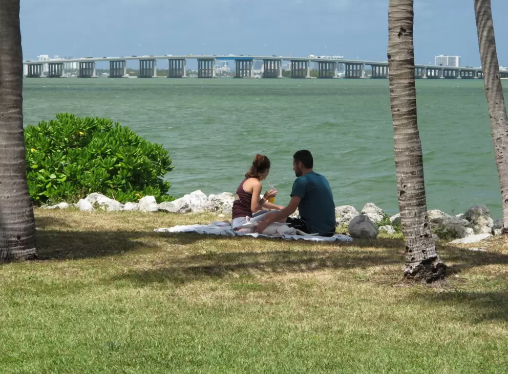 A couple and dog picnic with views of the causeway.