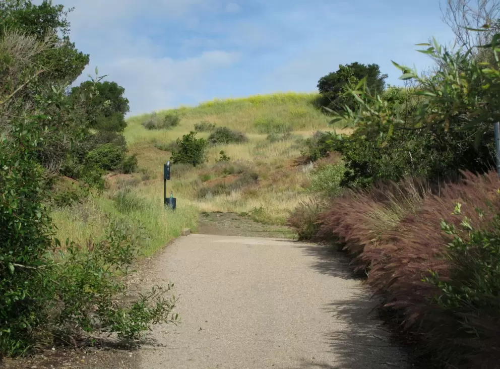 Terrace Hill Open Space in spring.