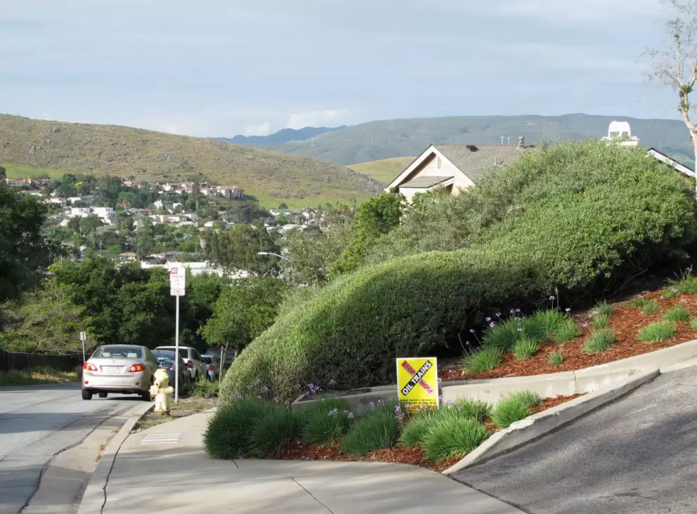 Green hills in spring, in the neighborhood near the bike path.