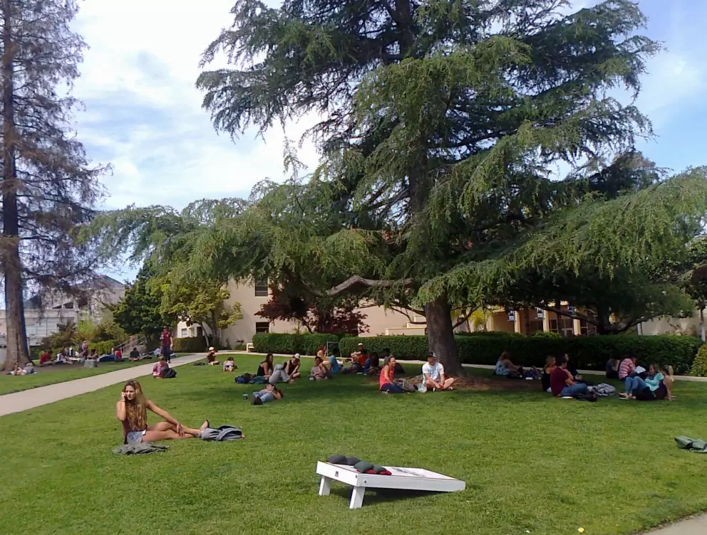 Students hanging out on Dexter Lawn.